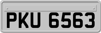 PKU6563