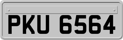 PKU6564