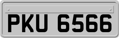 PKU6566