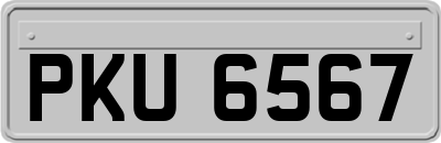 PKU6567