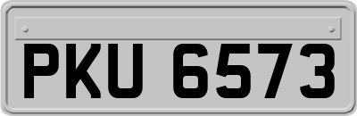PKU6573