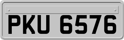 PKU6576