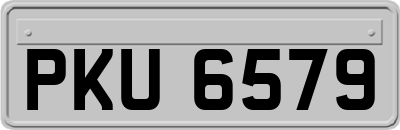 PKU6579