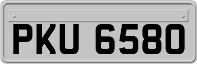 PKU6580