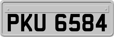 PKU6584