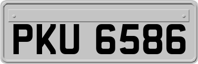 PKU6586