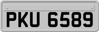 PKU6589