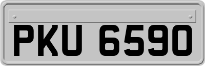 PKU6590