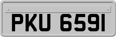 PKU6591