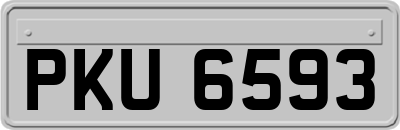 PKU6593