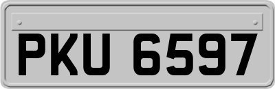PKU6597