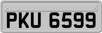 PKU6599
