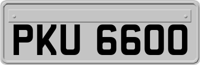 PKU6600