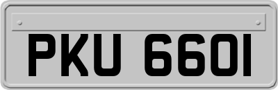 PKU6601