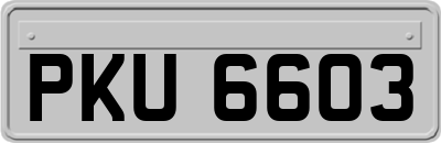 PKU6603