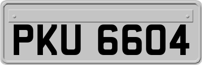PKU6604