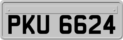 PKU6624