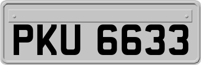 PKU6633