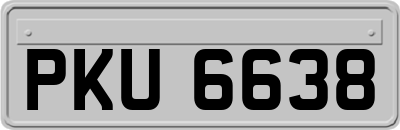 PKU6638