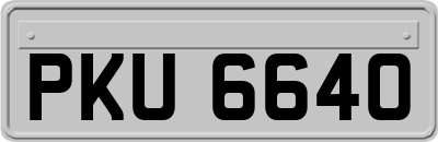 PKU6640