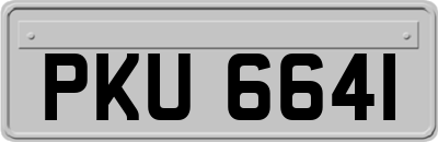 PKU6641