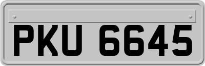 PKU6645