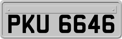PKU6646