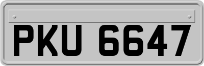 PKU6647