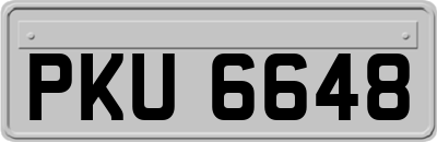 PKU6648