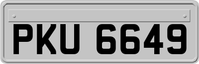 PKU6649