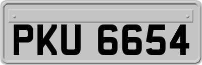 PKU6654
