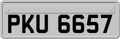 PKU6657