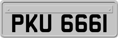PKU6661