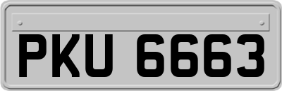 PKU6663
