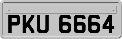 PKU6664
