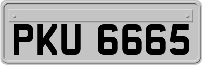 PKU6665