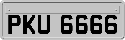PKU6666