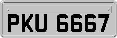 PKU6667
