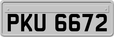 PKU6672