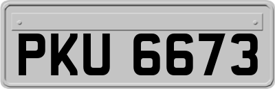 PKU6673