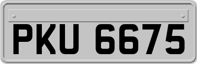 PKU6675