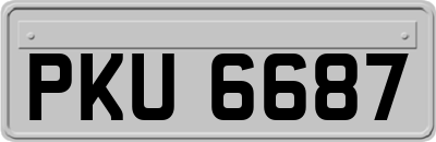 PKU6687
