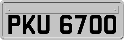 PKU6700