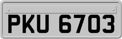 PKU6703