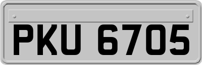 PKU6705