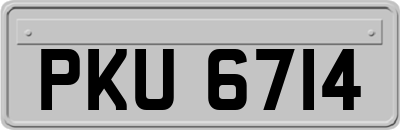 PKU6714