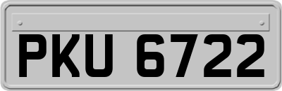 PKU6722