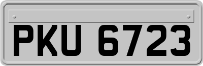 PKU6723