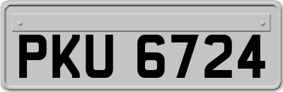 PKU6724