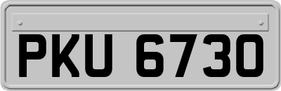 PKU6730